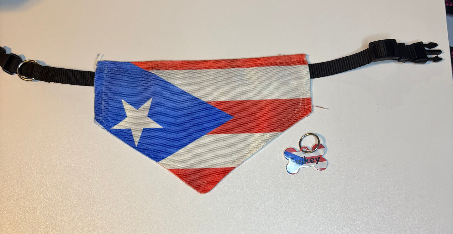 custom dog tag and bandana with collar